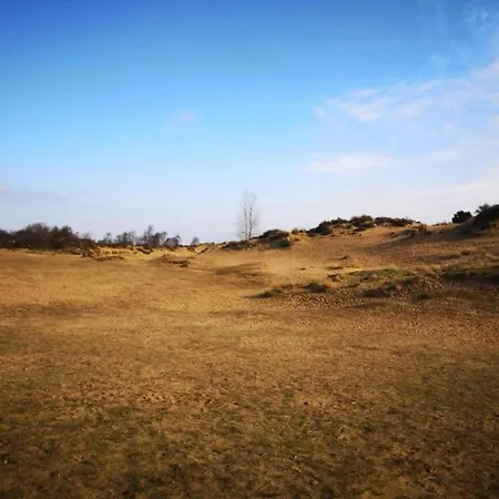 Plaza Zz24 Located On The Dunes